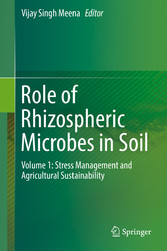 Role of Rhizospheric Microbes in Soil