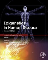 Epigenetics in Human Disease