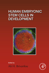 Human Embryonic Stem Cells in Development