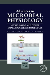 Nitric Oxide and Other Small Signalling Molecules