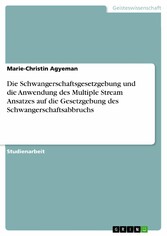 Die Schwangerschaftsgesetzgebung und die Anwendung des Multiple Stream Ansatzes auf die Gesetzgebung des Schwangerschaftsabbruchs