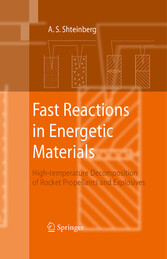 Fast Reactions in Energetic Materials