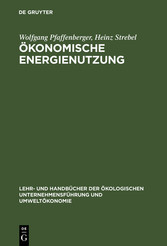 Ökonomische Energienutzung