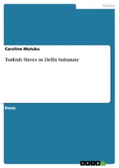 Turkish Slaves in Delhi Sultanate