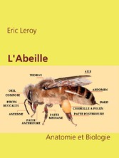 L&apos;Abeille