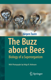 The Buzz about Bees