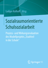 Sozialraumorientierte Schulsozialarbeit