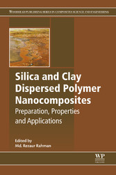 Silica and Clay Dispersed Polymer Nanocomposites