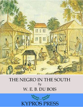 The Negro in the South