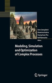 Modeling, Simulation and Optimization of Complex Processes