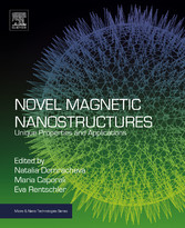 Novel Magnetic Nanostructures