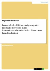 Potenziale der Effizienzsteigerung des Produktionssystems eines Industriebetriebes durch den Einsatz von Lean Production