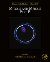 Mitosis and Meiosis Part B