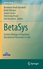 BetaSys