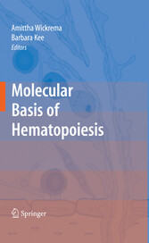 Molecular Basis of Hematopoiesis