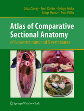 Atlas of Comparative Sectional Anatomy of 6 invertebrates and 5 vertebrates