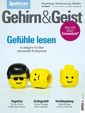 Gehirn&Geist 8/2018 Gefühle lesen