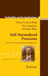 Self-Normalized Processes