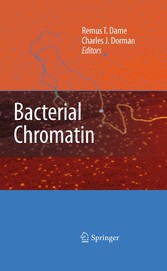 Bacterial Chromatin