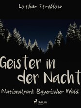 Geister in der Nacht. Nationalpark Bayerischer Wald