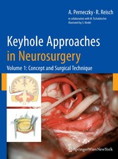 Keyhole Approaches in Neurosurgery