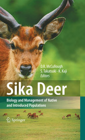 Sika Deer