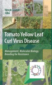 Tomato Yellow Leaf Curl Virus Disease