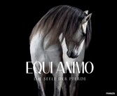 EQUI Animo