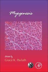 Myogenesis