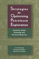 Strategies for Optimizing Petroleum Exploration