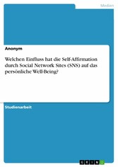 Welchen Einfluss hat die Self-Affirmation durch Social Network Sites (SNS) auf das persönliche Well-Being?