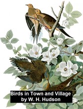 Birds in Town and Village