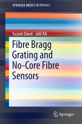 Fibre Bragg Grating and No-Core Fibre Sensors