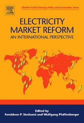 Electricity Market Reform