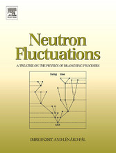 Neutron Fluctuations