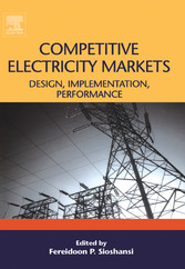 Competitive Electricity Markets