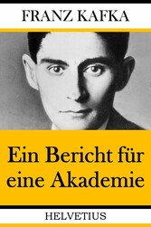 Ein Bericht für eine Akademie