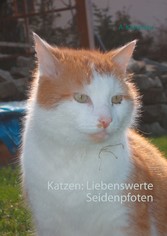 Katzen: Liebenswerte Seidenpfoten