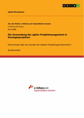 Die Anwendung des agilen Projektmanagement in Strategieprojekten