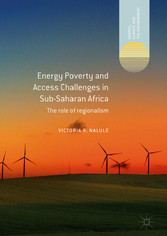 Energy Poverty and Access Challenges in Sub-Saharan Africa