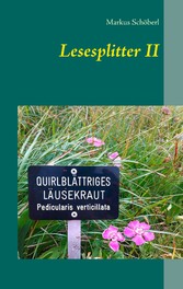 Lesesplitter II