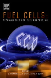 Fuel Cells: Technologies for Fuel Processing