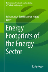 Energy Footprints of the Energy Sector