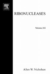 Ribonucleases, Part B