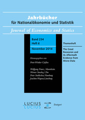 The Great Recession and its Aftermath: Evidence from Micro-Data