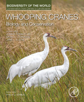 Whooping Cranes: Biology and Conservation