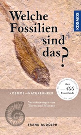 Welche Fossilien sind das?