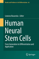 Human Neural Stem Cells