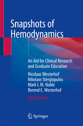 Snapshots of Hemodynamics