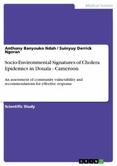 Socio-Environmental Signatures of Cholera Epidemics in Douala - Cameroon